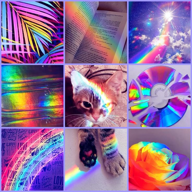 sunny rainbows